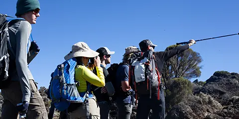 8 Days Lemosho Route Kilimanjaro Climbing on Top
