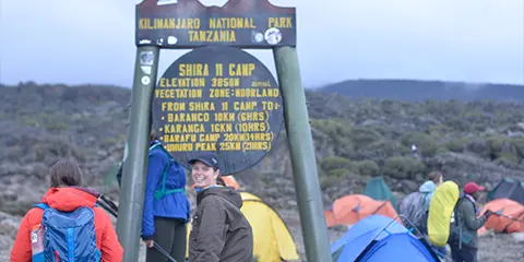 8 Days Exploring Kilimanjaro via Lemosho Route Hiking
