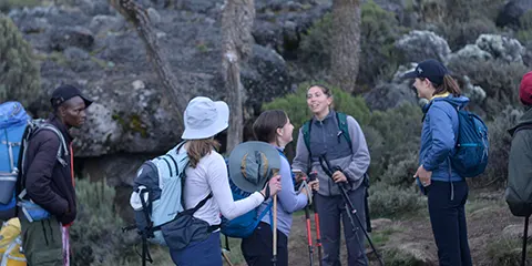 8 Days Kilimanjaro Trekking Adventure via Lemosho Route