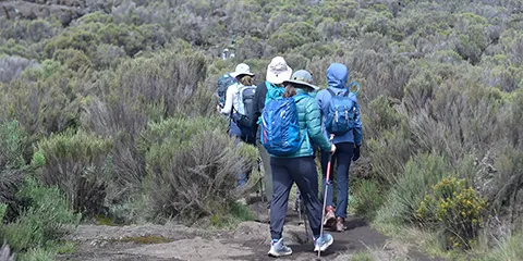 9 Days Northern Circuit Route to Kilimanjaro Trekking 