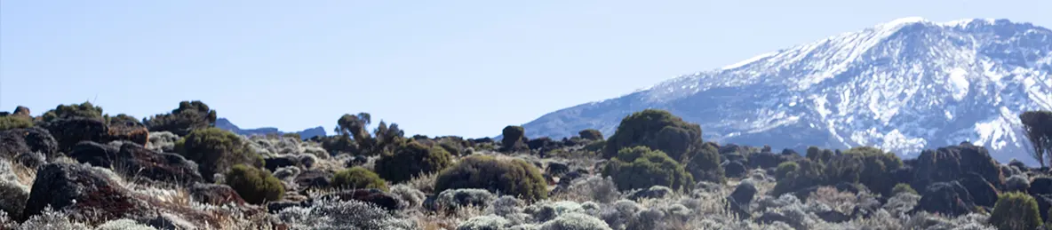 Kilimanjaro Lemosho Route, Northern Circuit Route