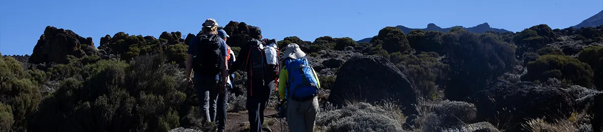 Kilimanjaro Lemosho Route, Northern Circuit Route