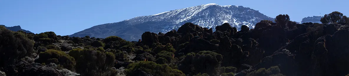 Kilimanjaro Lemosho Route, Northern Circuit Route