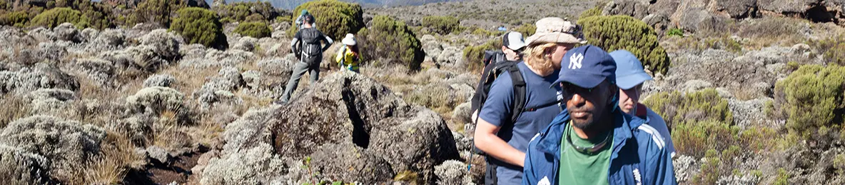 Kilimanjaro Lemosho Route, Northern Circuit Route