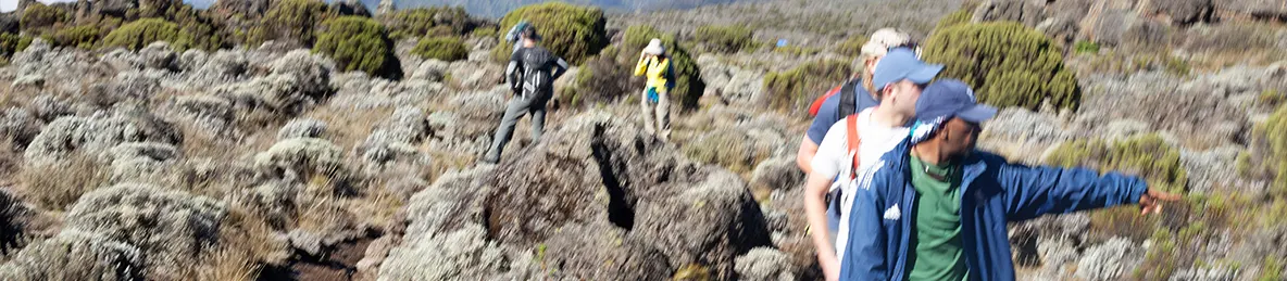 Kilimanjaro Lemosho Route, Northern Circuit Route