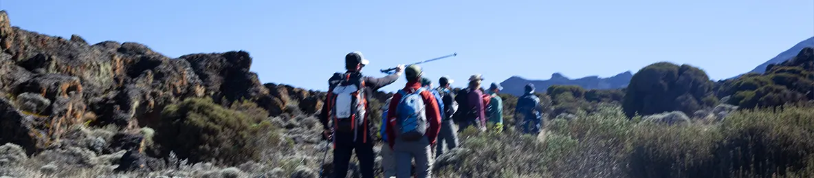 Kilimanjaro Lemosho Route, Northern Circuit Route