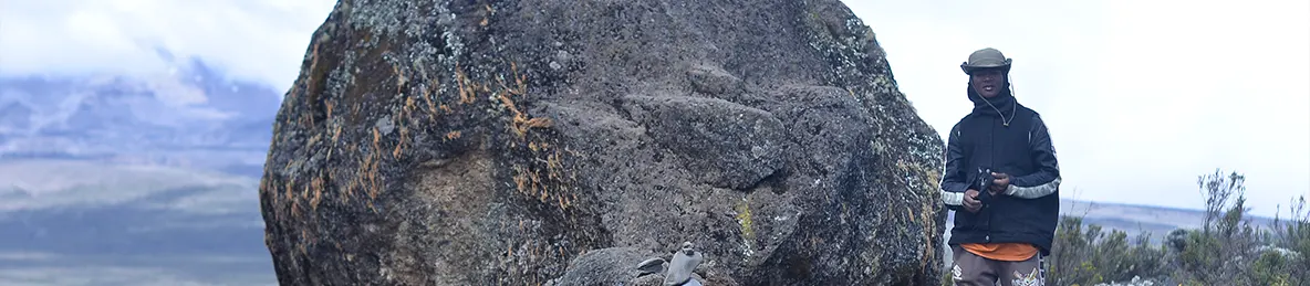 Kilimanjaro Lemosho Route, Northern Circuit Route