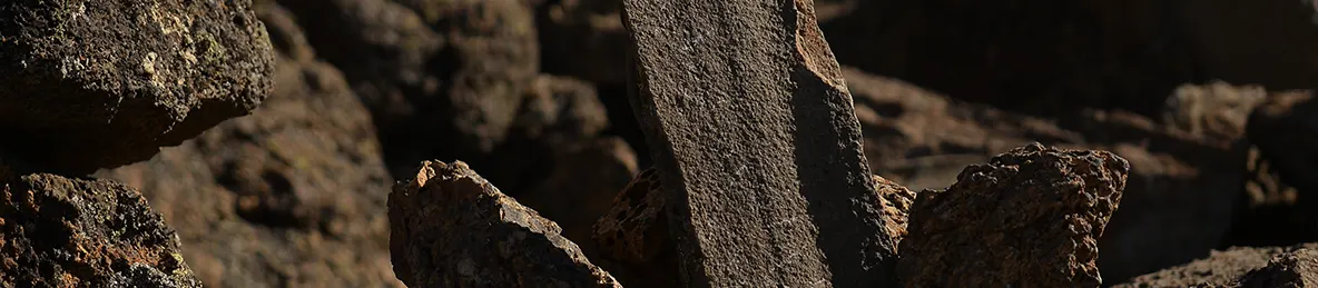 Kilimanjaro Lemosho Route, Londorossi route, Northern Circuit Route