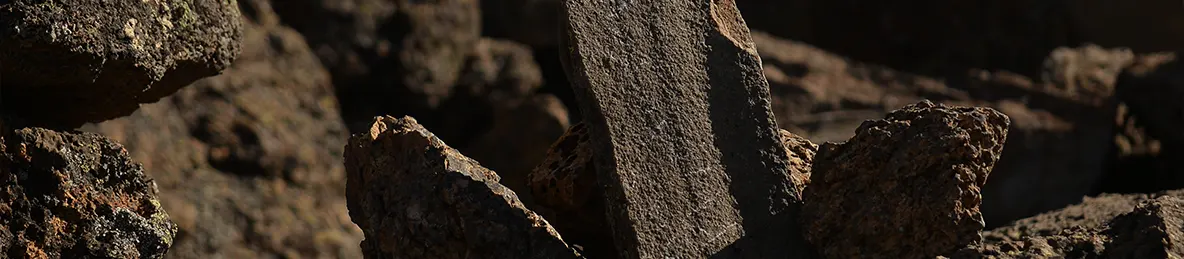 Kilimanjaro Lemosho Route, Londorossi route, Northern Circuit Route