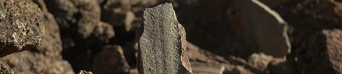 Kilimanjaro Lemosho Route, Londorossi route, Northern Circuit Route