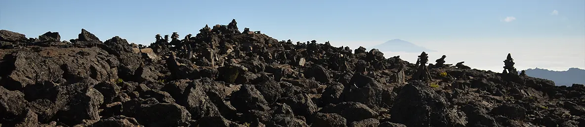 Kilimanjaro Lemosho Route, Londorossi route, Northern Circuit Route