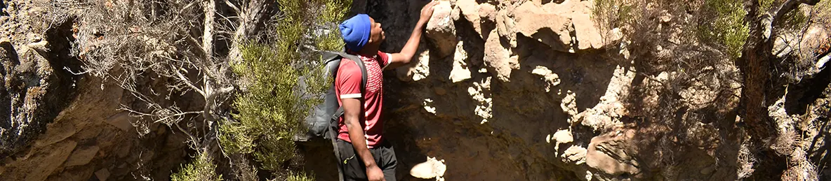 Kilimanjaro Lemosho Route, Londorossi route, Northern Circuit Route