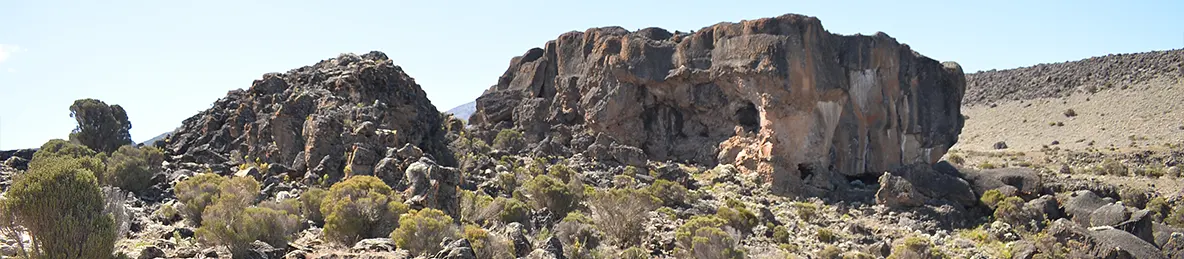 Kilimanjaro Lemosho Route, Londorossi route, Northern Circuit Route