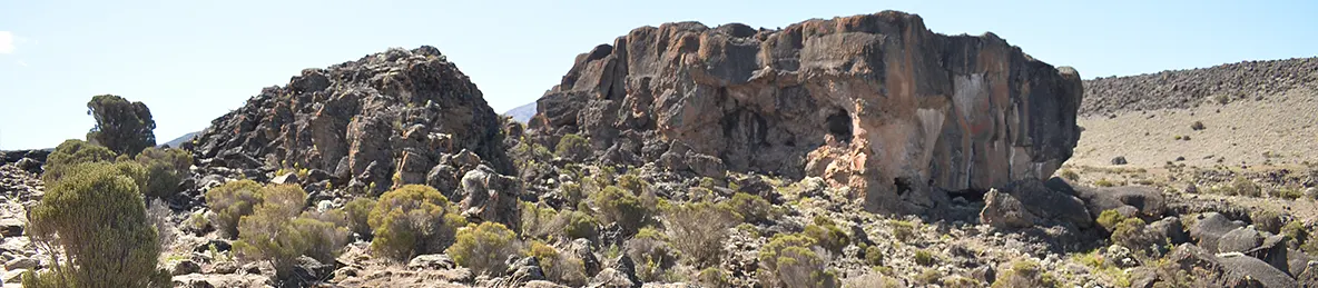 Kilimanjaro Lemosho Route, Londorossi route, Northern Circuit Route