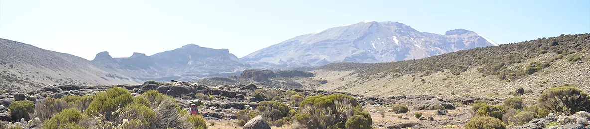 Kilimanjaro Lemosho Route, Londorossi route, Northern Circuit Route