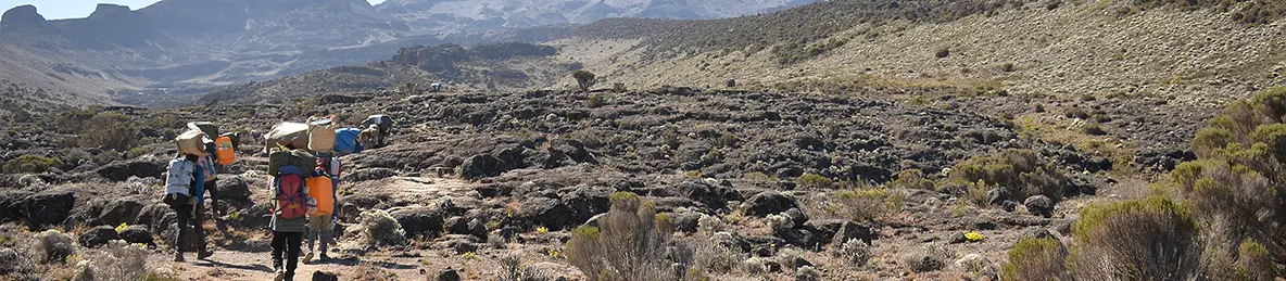 Kilimanjaro Lemosho Route, Londorossi route, Northern Circuit Route