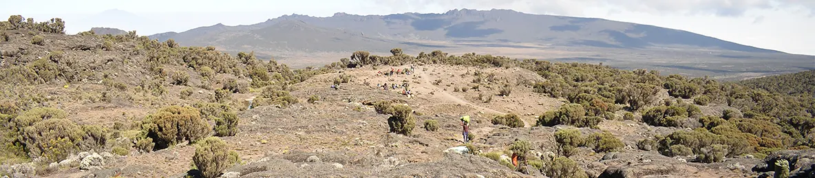 Kilimanjaro Lemosho Route, Londorossi route, Northern Circuit Route
