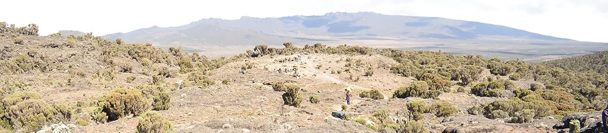 Kilimanjaro Lemosho Route, Londorossi route, Northern Circuit Route