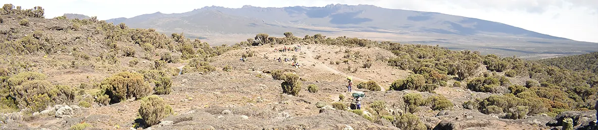 Kilimanjaro Lemosho Route, Londorossi route, Northern Circuit Route