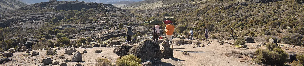 Kilimanjaro Lemosho Route, Londorossi route, Northern Circuit Route