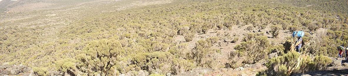 Kilimanjaro Lemosho Route, Londorossi route, Northern Circuit Route