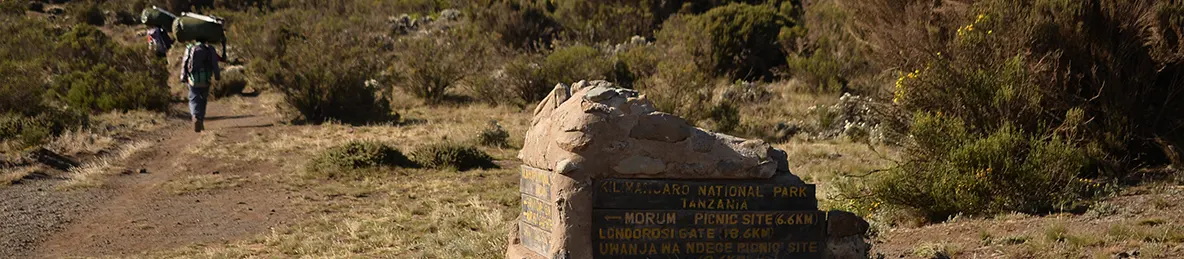 Kilimanjaro Lemosho Route, Londorossi route, Northern Circuit Route