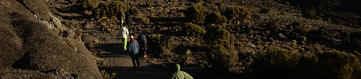 Kilimanjaro Lemosho Route, Londorossi route, Northern Circuit Route