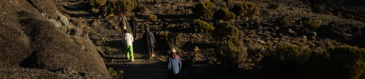 Kilimanjaro Lemosho Route, Londorossi route, Northern Circuit Route