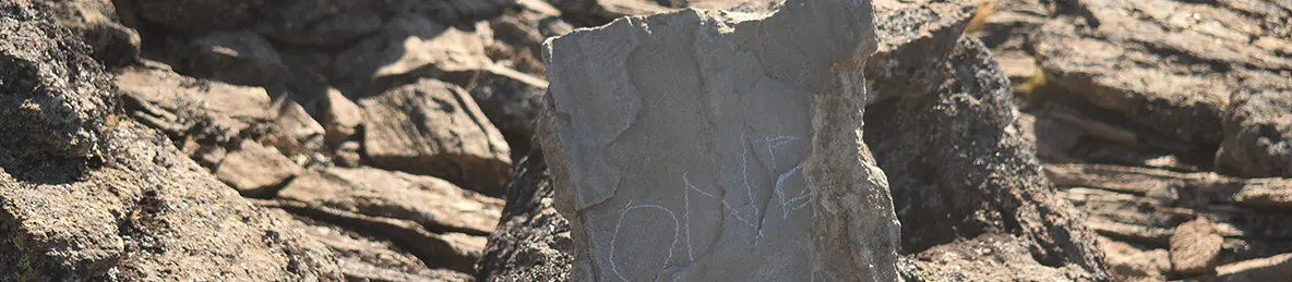 Kilimanjaro Lemosho Route, Londorossi route, Northern Circuit Route