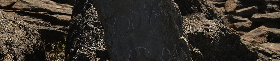 Kilimanjaro Lemosho Route, Londorossi route, Northern Circuit Route