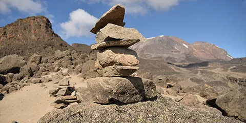 8 Days Summit Kilimanjaro Lemosho Route Trekking Adventure