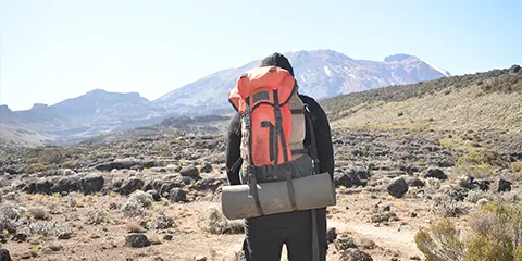 8 Days Kilimanjaro Northern Circuit Route Extravaganza