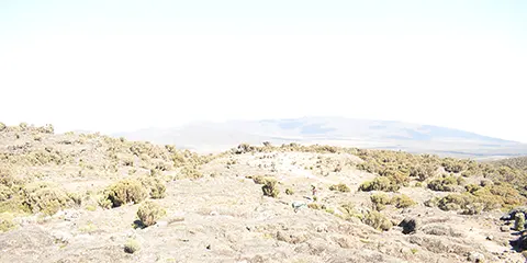 8 Days Majestic Kilimanjaro Hiking Lemosho Route