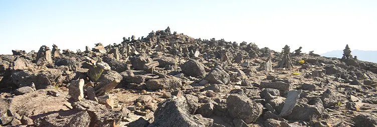 Essentially climb from Shira Camp 2 to Moir Camp (4,200m)