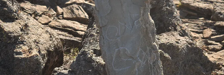 Exploring Shira Plateau and Acclimatization
