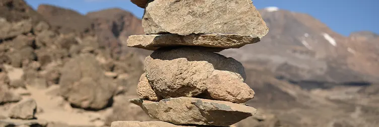 from Shira 2 Camp to Moir Camp