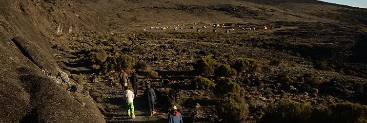 Shira 1 Camp To Moir Hut Camp