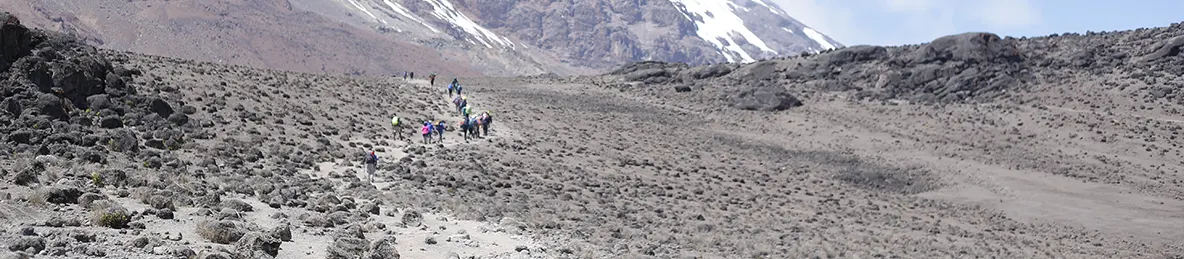 Kilimanjaro Lemosho Route, Northern Circuit Route