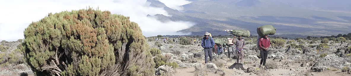 Kilimanjaro Lemosho Route, Northern Circuit Route