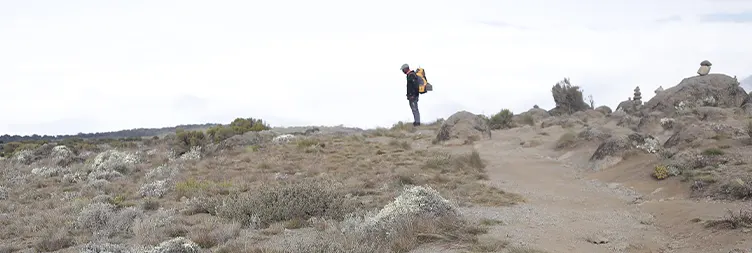 Shira Camp climb to Barranco Camp
