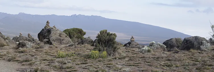 Shira 2 Camp to Lava Tower to Barranco Camp