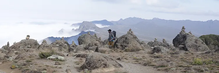  Mweka Camp â€“ Mweka Gate â€“ Moshi: 