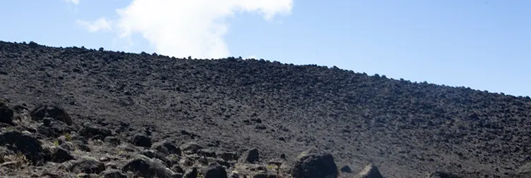 Shira 2 Camp - Lava Tower - Barranco Camp 