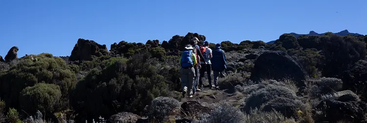 Shira 2 Camp to Lava Tower to Moir Hut