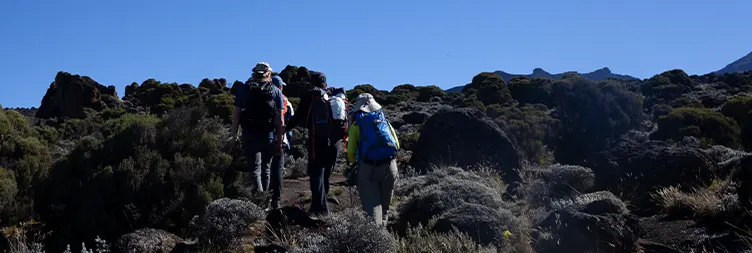 Shira 2 Camp - Lava Tower - Barranco Camp 