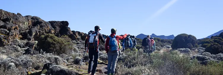 Mweka camp to  Mweka gate â€“ Back to Moshi/Arusha 