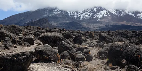 6 Days Kilimanjaro Whispers Machame Route Summit Secrets