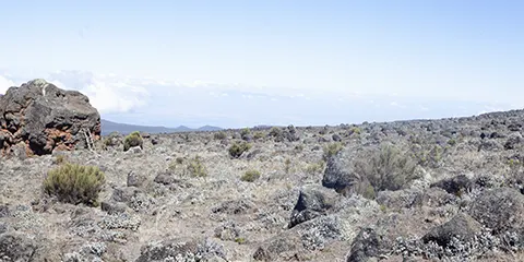 6 Days Trailblazing Triumph Kilimanjaro Climb via Machame Route