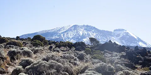 7 Days Journey to Machame Route Kilimanjaro Trekking