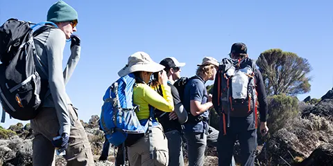 7 Days Conquer Kilimanjaro Majesty Machame Route